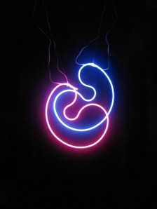 Neon #11, 2008, 50 x 50 x 4 cm, neon systems (Frederiksberg Museums, Denmark)